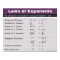 Laws of Exponents Math Poster