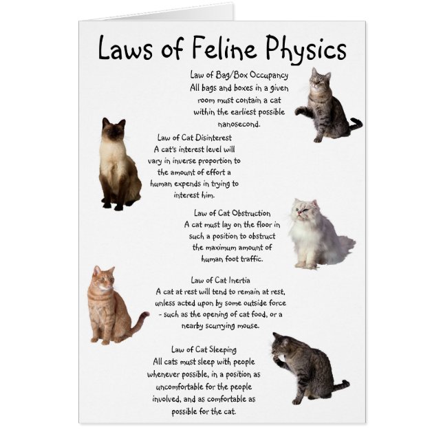 "Laws of Feline Physics" (Front)