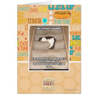 Laws of Kitteh Probability