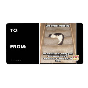 Laws of Kitteh Probability