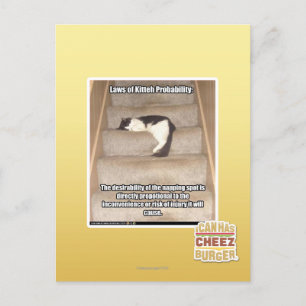 Laws of Kitteh Probability Postcard