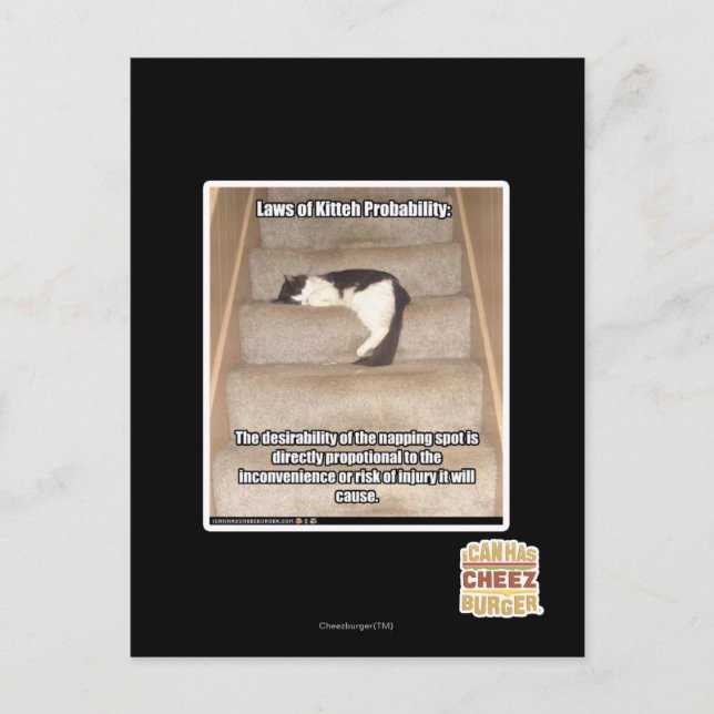 Laws of Kitteh Probability Postcard (Front)