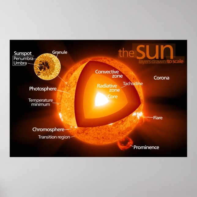Layered Diagram of Earth's Sun Poster (Front)