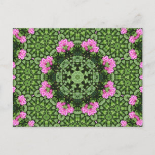 Layered Pink Lotus Mandala Postcard