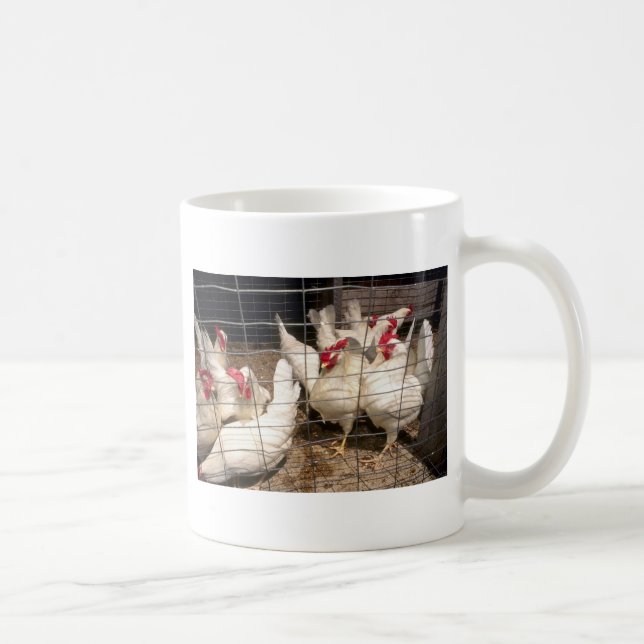 Layers (Hens And Chickens) Coffee Mug (Right)