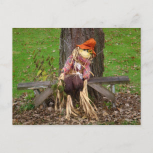 "Laying Down On The Job" Scarecrow Postcard