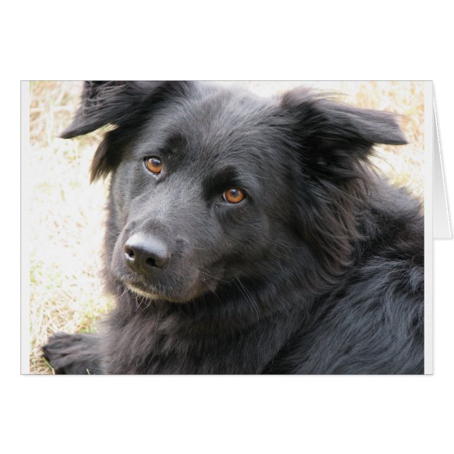 Layla (Front Horizontal)