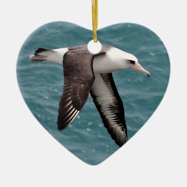 Laysan Albatross Ceramic Ornament (Front)