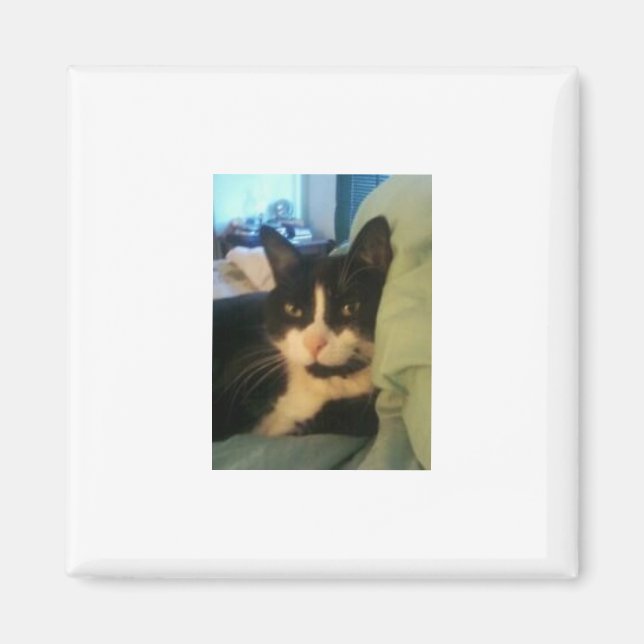 Lazey Cat Magnet (Front)