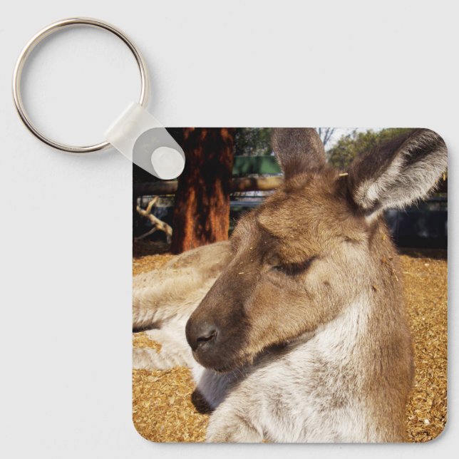Lazing Kangaroo Close Up, Keyring (Front)