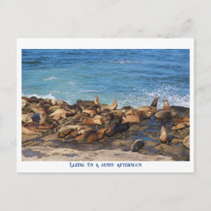 Lazing On A Sunny Afternoon Postcard