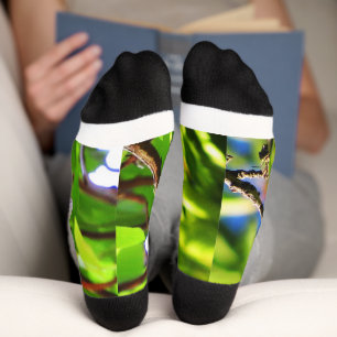 Lazuli Bunting socks