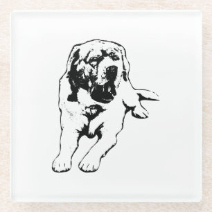 Lazy Afternoon – Labrador Mood Glass Coaster