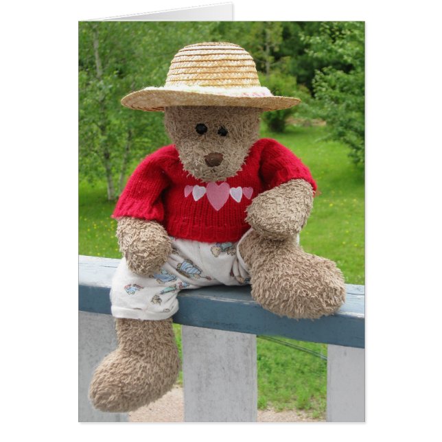 Lazy Bear Days (Front)