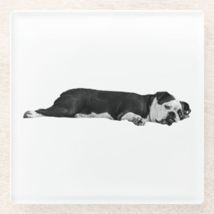 Lazy Bulldog, Neat Table Glass Coaster