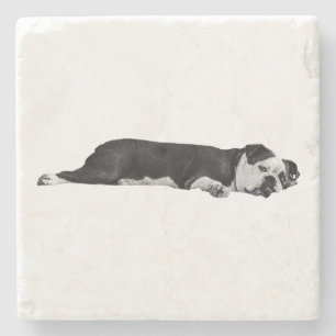 Lazy Bulldog, Neat Table Stone Coaster