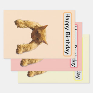 Lazy Cant Be Bothered Fluffy Ginger Cat, Birthday Wrapping Paper Sheet