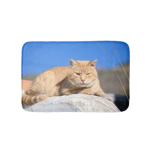 Lazy cat bath mat (Front)