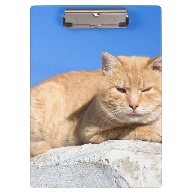 Lazy cat clipboard (Front)