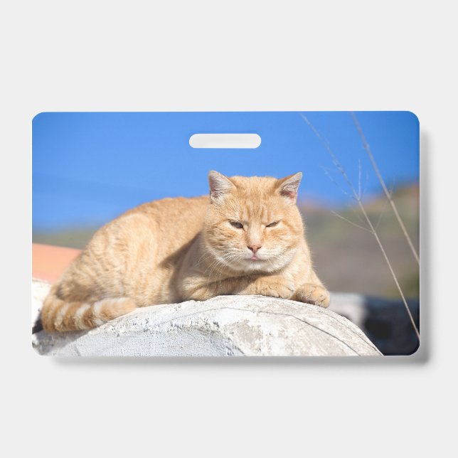 Lazy cat ID badge (Front)