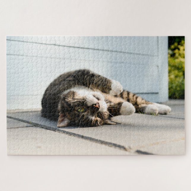 Lazy Cat Lounging on Porch Jigsaw Puzzle (Horizontal)