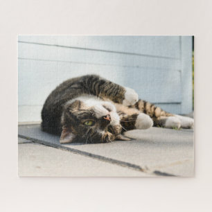 Lazy Cat Lounging on Porch Jigsaw Puzzle