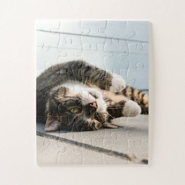 Lazy Cat Lounging on Porch Jigsaw Puzzle (Vertical)
