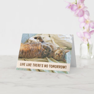 Lazy Cat Philosophy Birthday Card