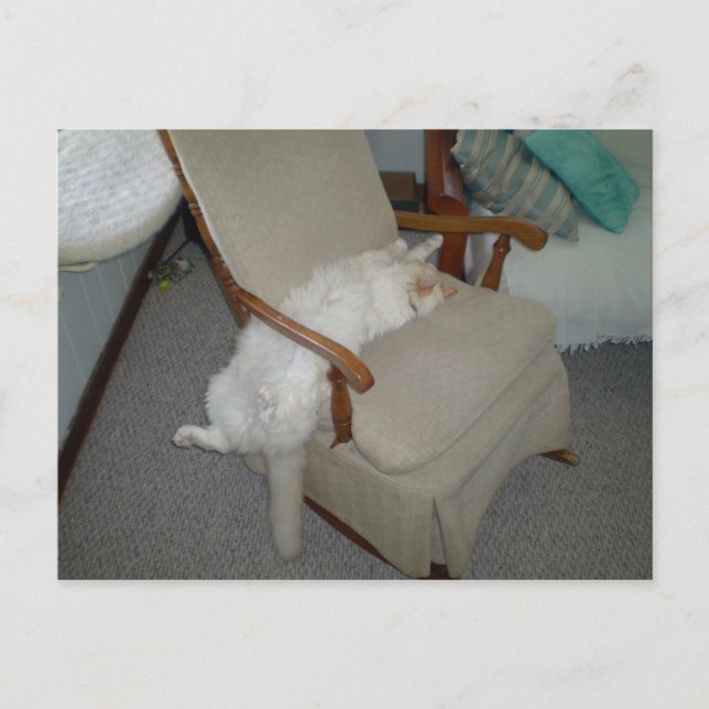 Lazy Cat Postcard (Front)