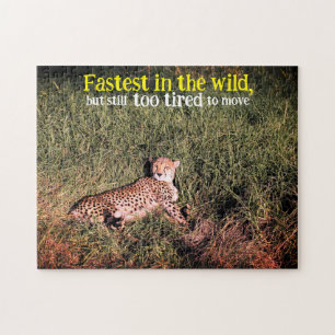 Lazy cheetah photo jigsaw puzzle