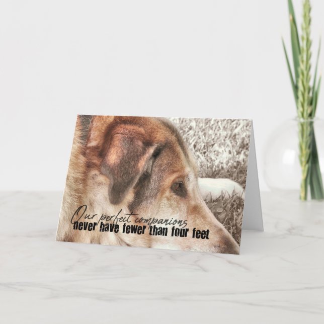 LAZY DAY Greeting Card (Front)