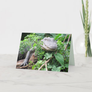 Lazy Gator - Alligator Greeting Card