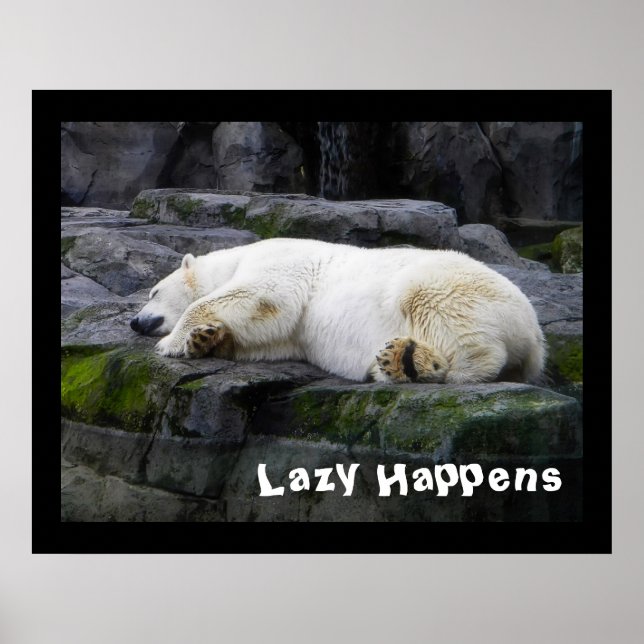 Lazy Happens Polar Bear Poster (Front)