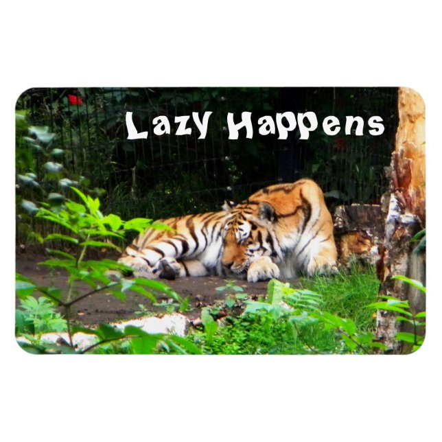 Lazy Happens Siberian Tiger Magnet (Horizontal)