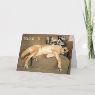 Lazy Hound Dog on Couch Card