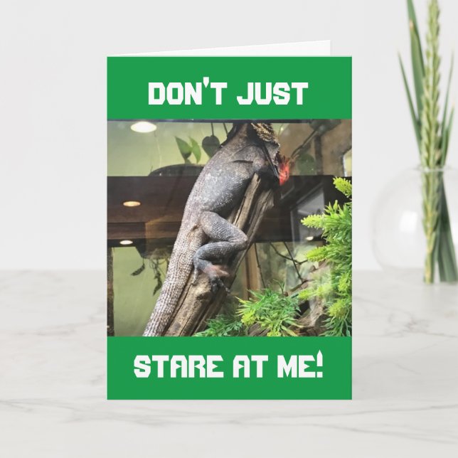 "LAZY IGUANA" GIVES ADVICE ON YOUR BIRTHDAY CARD (Front)