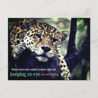 Lazy jaguar in tree photo holiday postcard