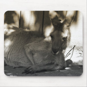 lazy kangaroo mouse pad