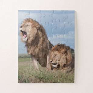 Lazy Lion Brothers on the Savannah Jigsaw Puzzle