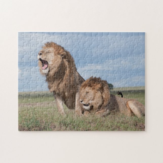 Lazy Lion Brothers on the Savannah Jigsaw Puzzle (Horizontal)