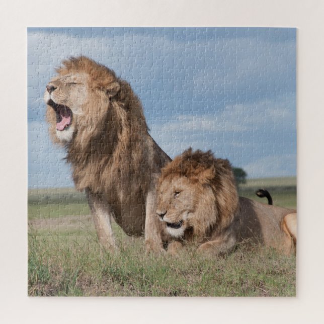 Lazy Lion Brothers on the Savannah Jigsaw Puzzle (Vertical)