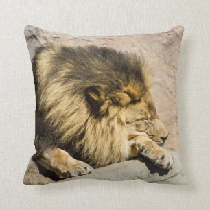 Lazy Lion Throw Pillow