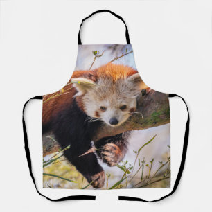 Lazy little red panda apron