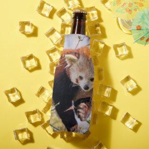 Lazy little red panda bottle cooler
