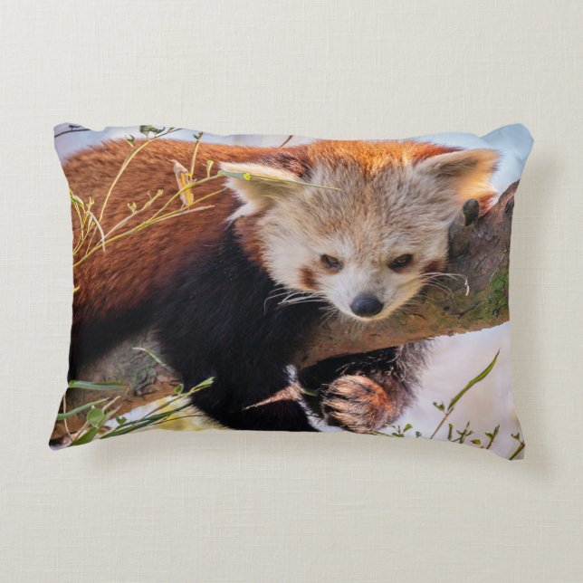 Lazy little red panda decorative cushion (Back)