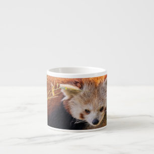 Lazy little red panda espresso cup