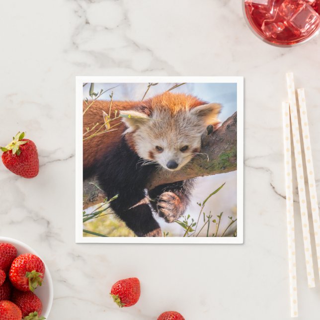 Lazy little red panda napkin (Insitu)