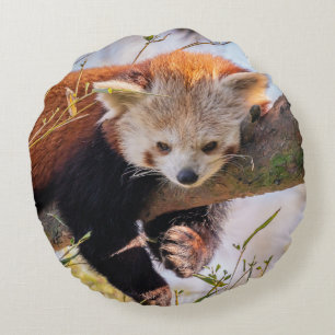 Lazy little red panda round cushion