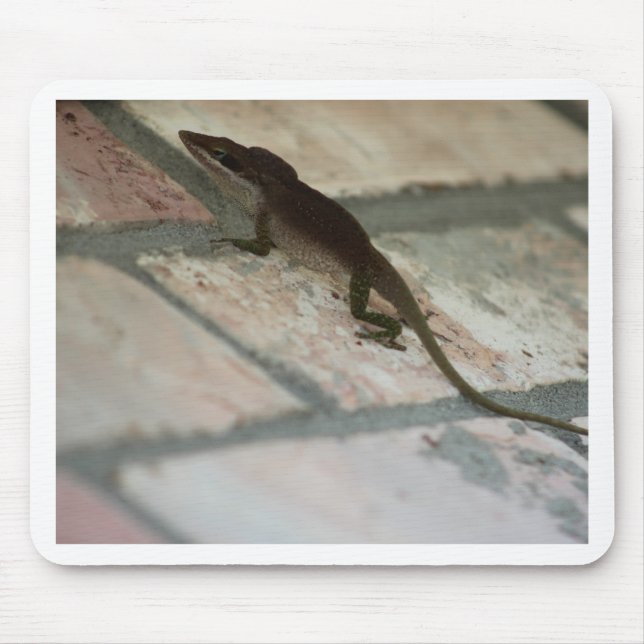 Lazy Lizard Mouse Pad (Front)