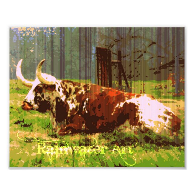 Lazy Longhorn Photo Print (Front)